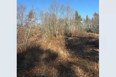 Lot 4 Baldwin Rd (Route 11), Baldwin, ME 04024 - Photo 4