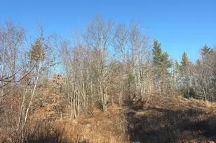 Lot 4 Baldwin Rd (Route 11), Baldwin, ME 04024 - Photo 4