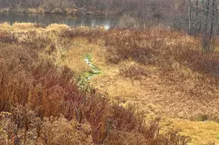 17 Lake St, Stockholm, ME 04783 - Photo 10