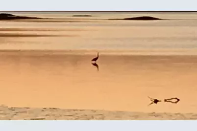 524 Back Cove Road, Waldoboro, ME 04572 - Photo 60