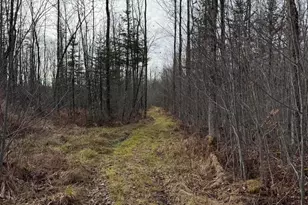 43 Whitten Rd, Clinton, ME 04927 - Photo 40