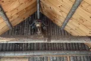 43 Whitten Rd, Clinton, ME 04927 - Photo 42