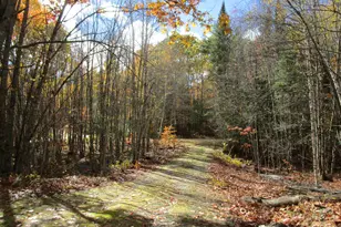 11 Webber Farm Rd, Paris, ME 04281 - Photo 24