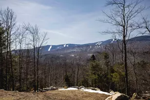 33 Nahama Wy, Newry, ME 04261 - Photo 4