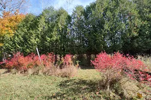 4 Cedar St, Bucksport, ME 04416 - Photo 24