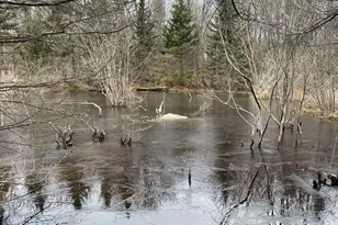 94 Green Valley Rd, Stockton Springs, ME 04981 - Photo 34