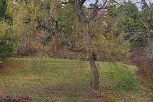 1549 Westbrook St, Portland, ME 04102 - Photo 10