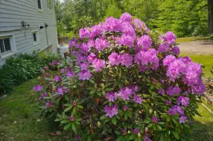 24 Emery Corner Rd, Limerick, ME 04048 - Photo 32