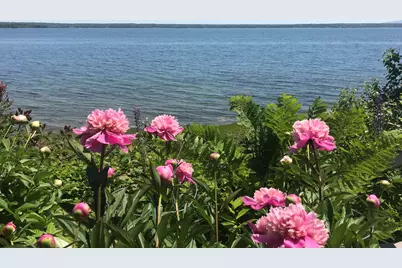 494 Newbury Neck Road, Surry, ME 04684 - Photo 46