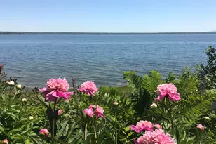 494 Newbury Neck Rd, Surry, ME 04684 - Photo 46