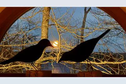 494 Newbury Neck Road, Surry, ME 04684 - Photo 86