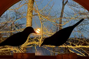 494 Newbury Neck Rd, Surry, ME 04684 - Photo 86