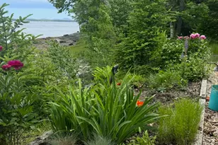 494 Newbury Neck Rd, Surry, ME 04684 - Photo 56