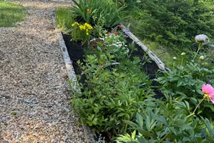 494 Newbury Neck Rd, Surry, ME 04684 - Photo 52