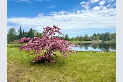 12 Morgan Road, Pembroke, ME 04666 - Photo 4