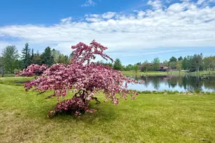 12 Morgan Rd, Pembroke, ME 04666 - Photo 4