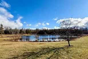 12 Morgan Rd, Pembroke, ME 04666 - Photo 8