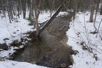 M13L18A-1 Redding Road, Woodstock, ME 04219 - Photo 2