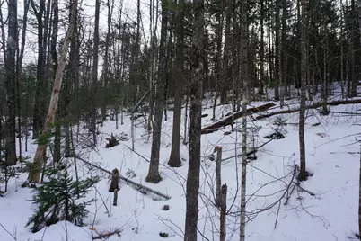 M13L18A-1 Redding Road, Woodstock, ME 04219 - Photo 10