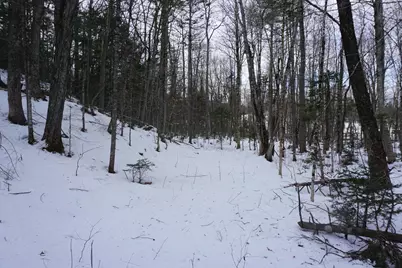 M13L18A-1 Redding Road, Woodstock, ME 04219 - Photo 12