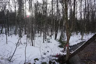 M13L18A-1 Redding Rd, Woodstock, ME 04219 - Photo 1