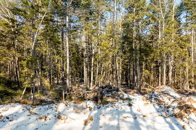 Map 004 Lot 089-03, Bristol, ME 04558 - Photo 14