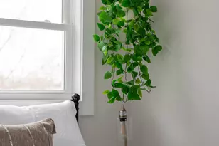 466 Essex St, Bangor, ME 04401 - Photo 26