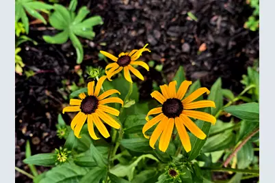 27 Pepperell Street #1, Saco, ME 04072 - Photo 12