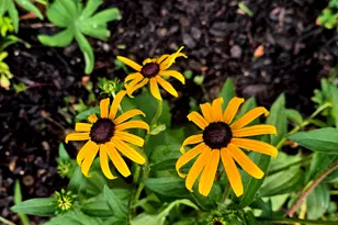 27 Pepperell St, Saco, ME 04072 - Photo 12