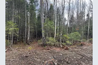 Lot ''k'' S Whitetail Way, Greenville, ME 04441 - Photo 10