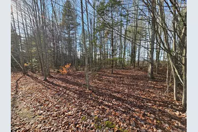 M5, L87-1 Main Street, Palmyra, ME 04965 - Photo 6