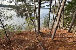 422 Bonney Brook Rd, Grand Lake Stream Plantation, ME 04637 - Photo 18