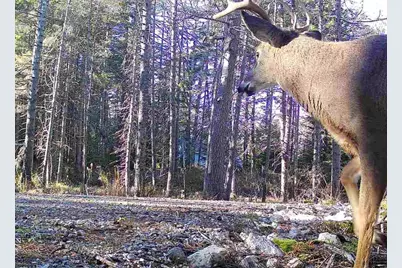 774 Spruce Head Road, Saint George, ME 04858 - Photo 2