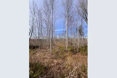 M8 P/O 1 Drews Mill Road, Linneus, ME 04730 - Photo 2