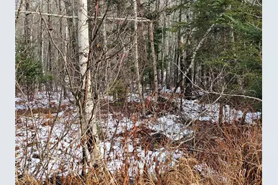M2, L4 Off Sacarap Road, Columbia Falls, ME 04623 - Photo 2