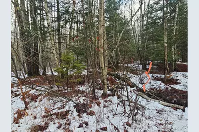 M2, L4 Off Sacarap Road, Columbia Falls, ME 04623 - Photo 4