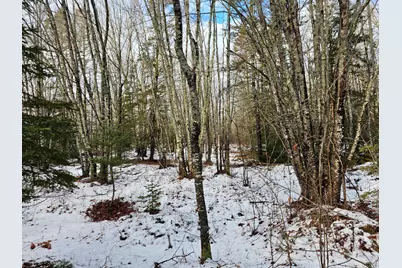 M2, L4 Off Sacarap Road, Columbia Falls, ME 04623 - Photo 6
