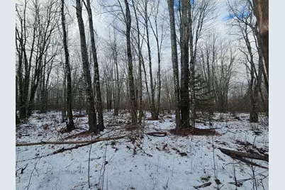 M2, L4 Off Sacarap Road, Columbia Falls, ME 04623 - Photo 10