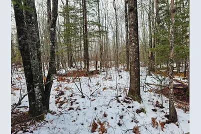 M2, L4 Off Sacarap Road, Columbia Falls, ME 04623 - Photo 8