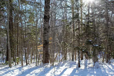 2549 Trout Brook Lane #2549, Carrabassett Valley, ME 04947 - Photo 6
