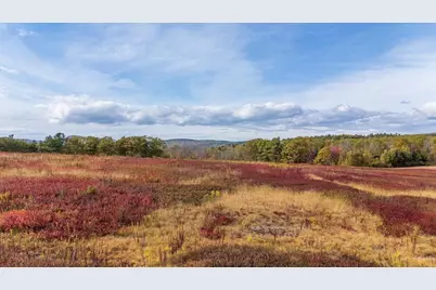 423 Beech Hill Road, Northport, ME 04849 - Photo 16