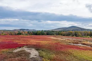 423 Beech Hill Rd, Northport, ME 04849 - Photo 1