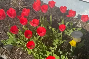 96 Holm Ave, Portland, ME 04102 - Photo 22