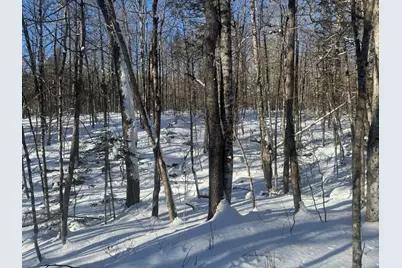 Lot 7 Curtis Farm Road, Lincoln, ME 04457 - Photo 10