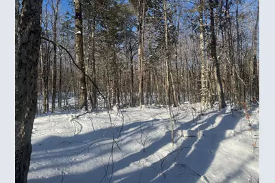 Lot 7 Curtis Farm Road, Lincoln, ME 04457 - Photo 8