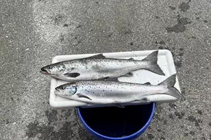 63 George Hannon Rd, Casco, ME 04015 - Photo 94