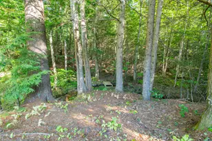 55 Sand Hill Dr, Durham, ME 04222 - Photo 62