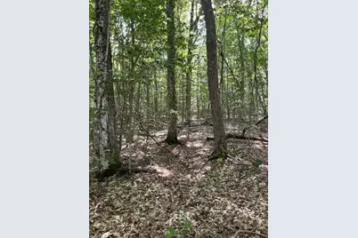 173 Island Way, Carmel, ME 04419 - Photo 12