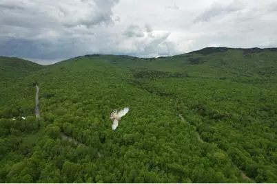 2401 Long Falls Dam Road, Highland Plt, ME 04961 - Photo 2