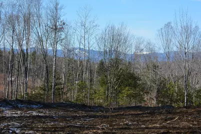 Lot 137.25 French Hill Road, Albany, ME 04217 - Photo 2